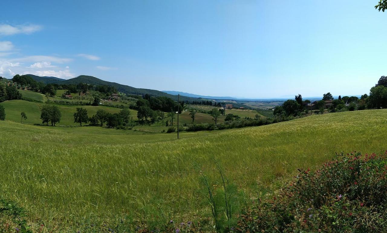 Residence I Macchiaioli Castiglioncello Zewnętrze zdjęcie